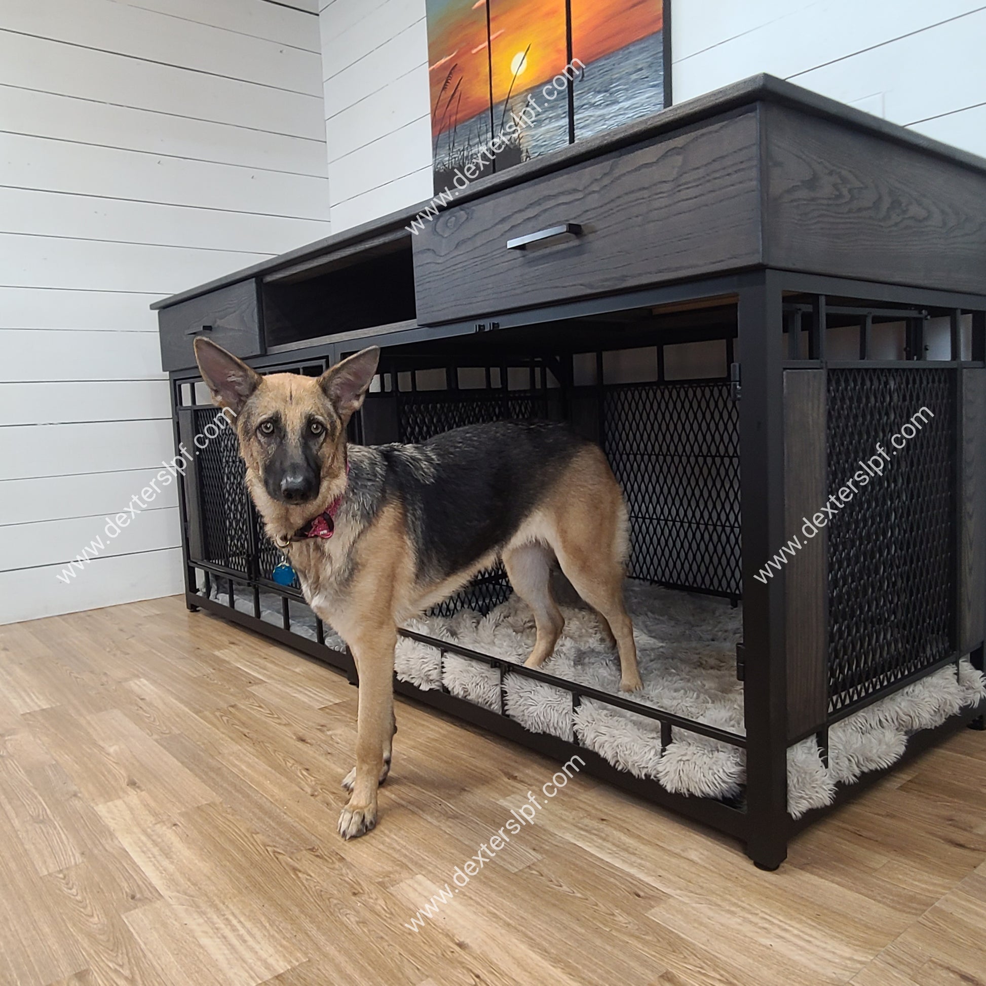 Kong Crate Buy Large Dog Crate KONG Folding Double Door Dog Crate