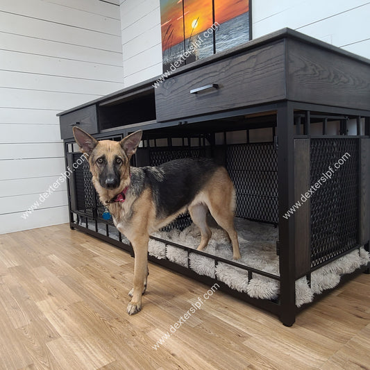 Raven X-Large Double Dog Kennel with Media Center | Modern Dog Crate Furniture