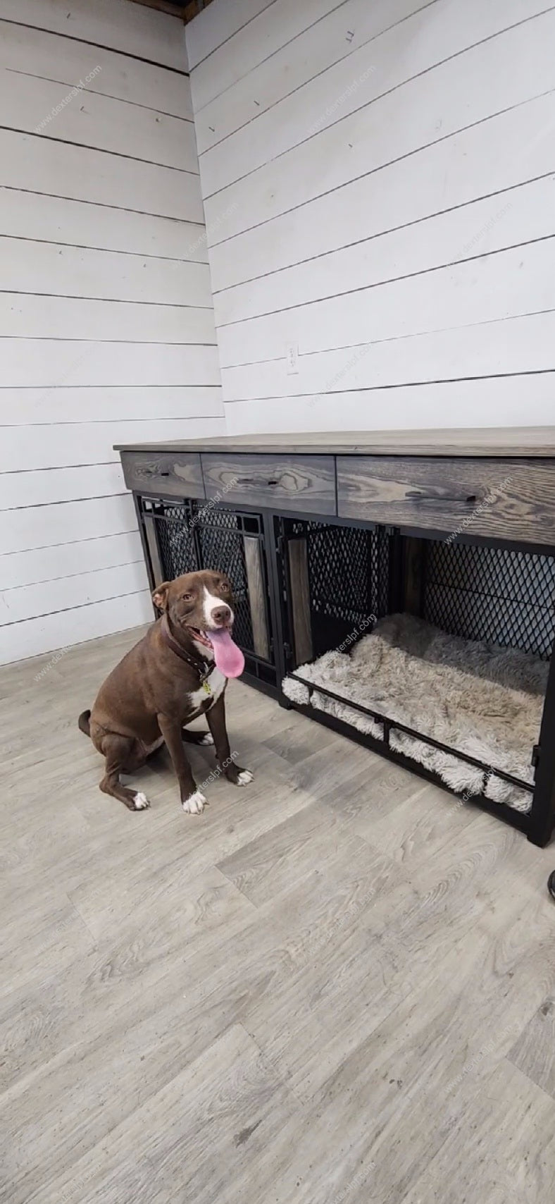 Raven Large Double Dog Crate Furniture | 3 Soft-Close Drawers