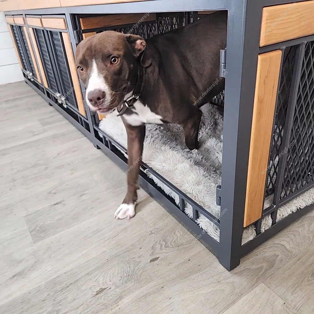 Finnian Triple Large Dog Crate Furniture | 3 Large Compartments