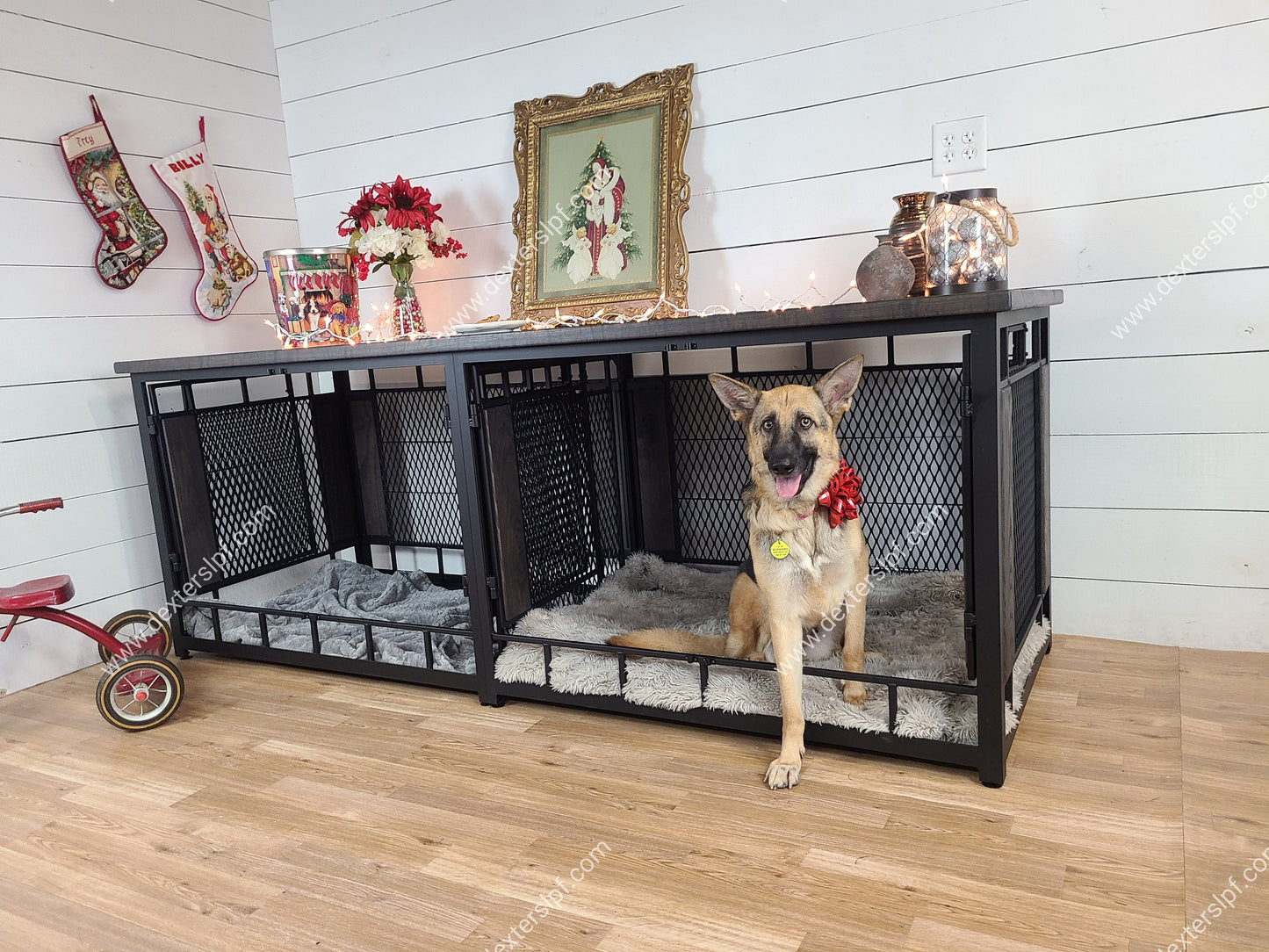 Raven X-Large Double Dog Kennel Furniture | Modern Dog Crate for Two XL Dogs