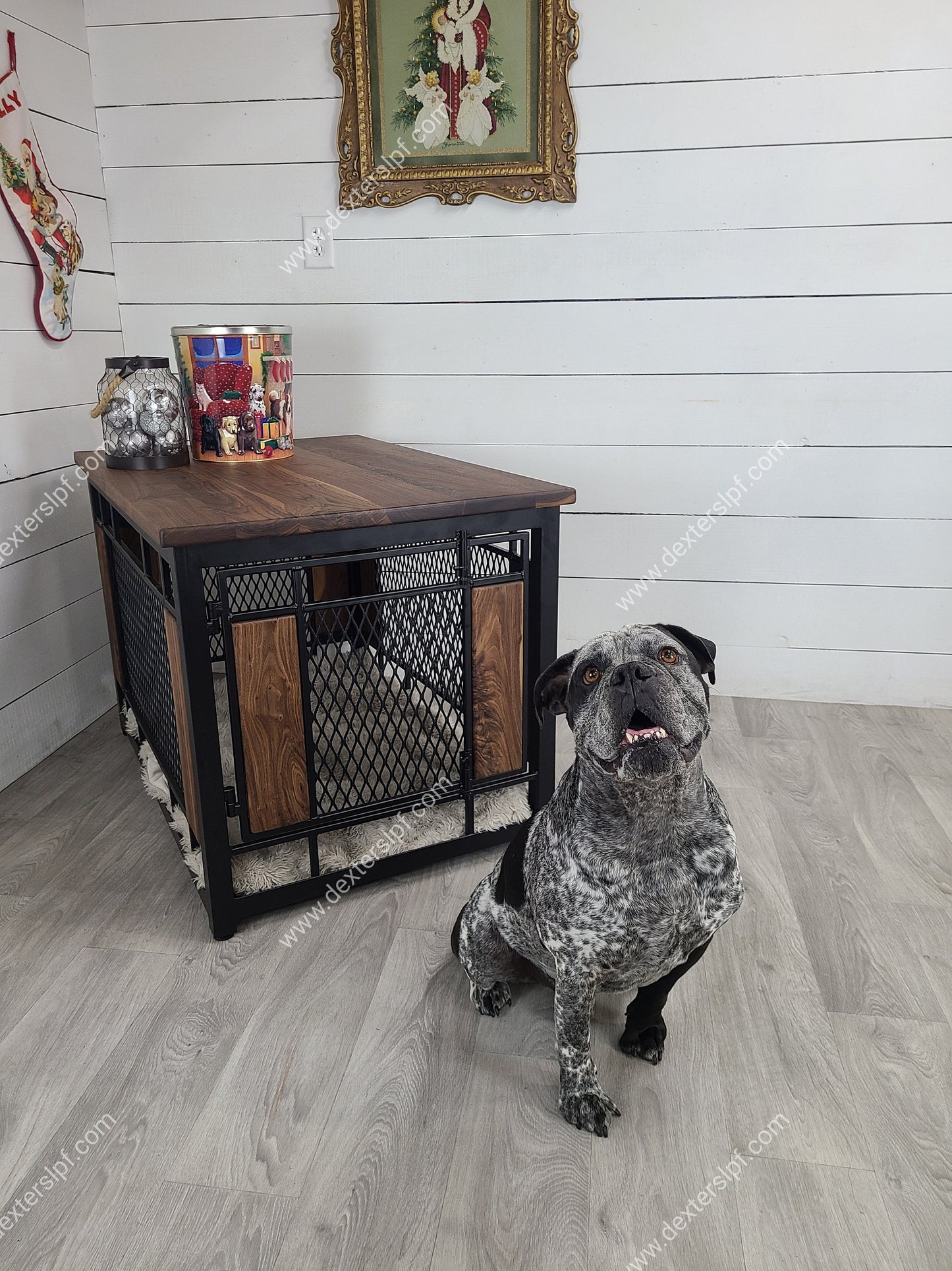 Raven Large Dog Kennel | Industrial Pet Furniture