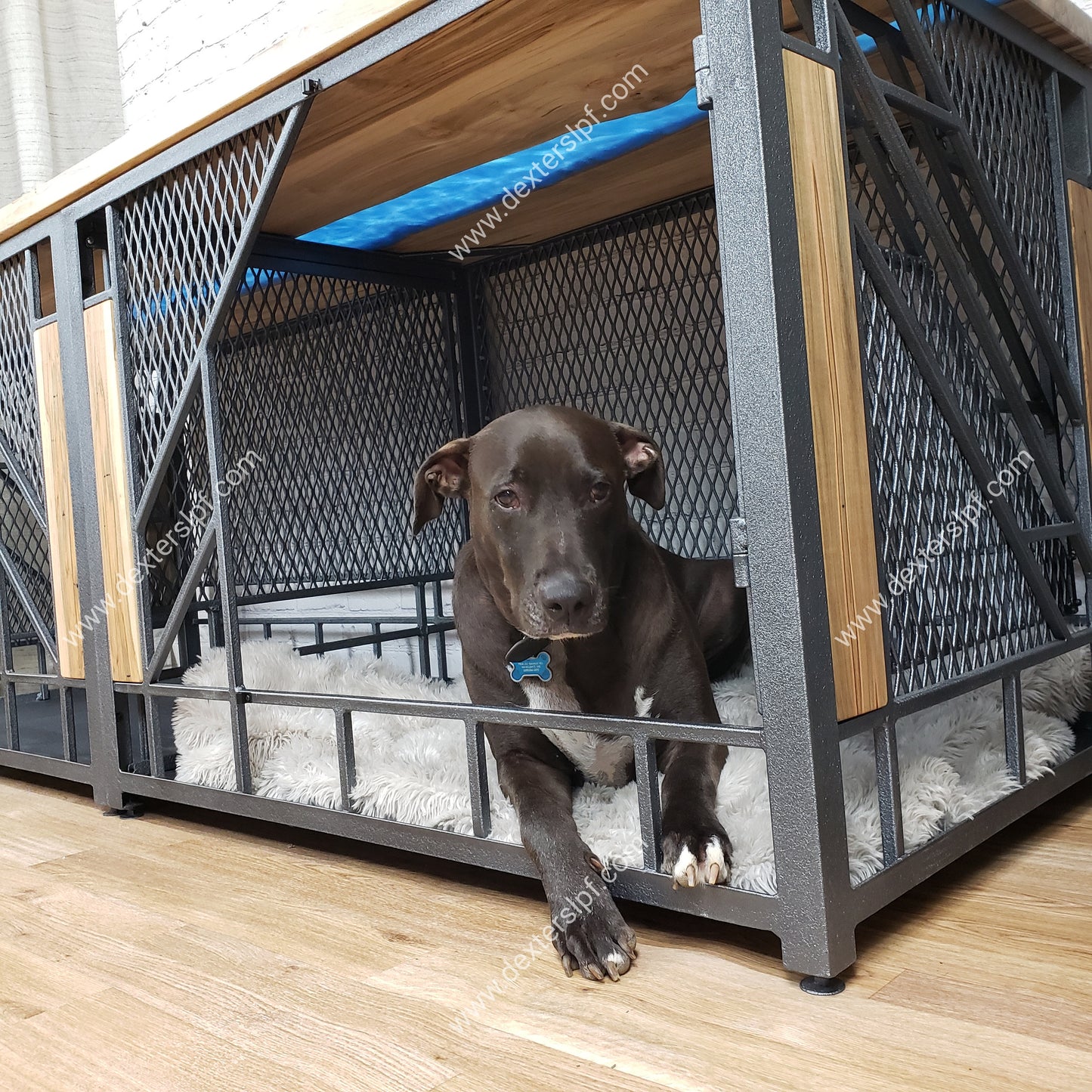 Remy X-Large Double Dog Kennel | Modern Dog Crate with Live Edge River Table