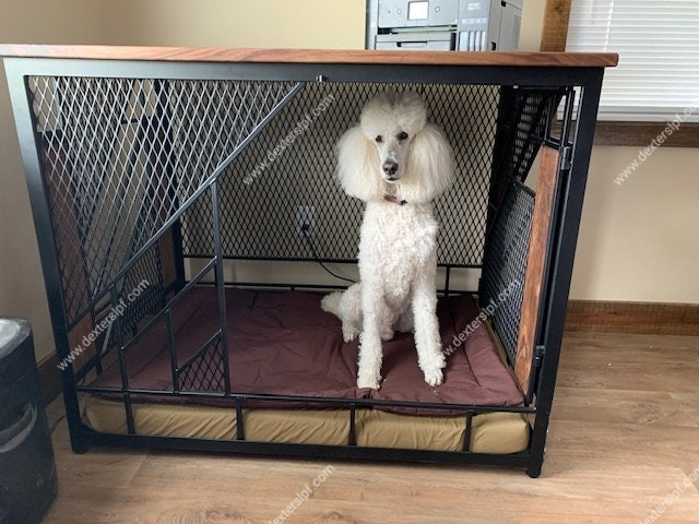 X shops large dog crate